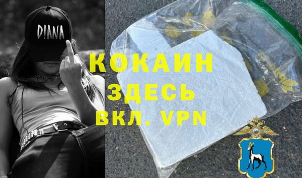 ALPHA PVP Няндома