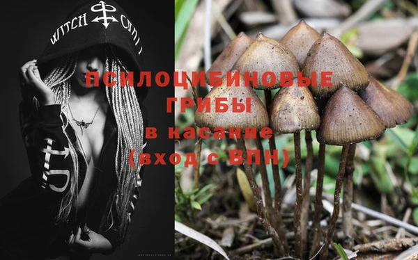 винт Нязепетровск