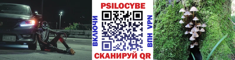 Галлюциногенные грибы MAGIC MUSHROOMS  цены   OMG ссылки  Аксай 