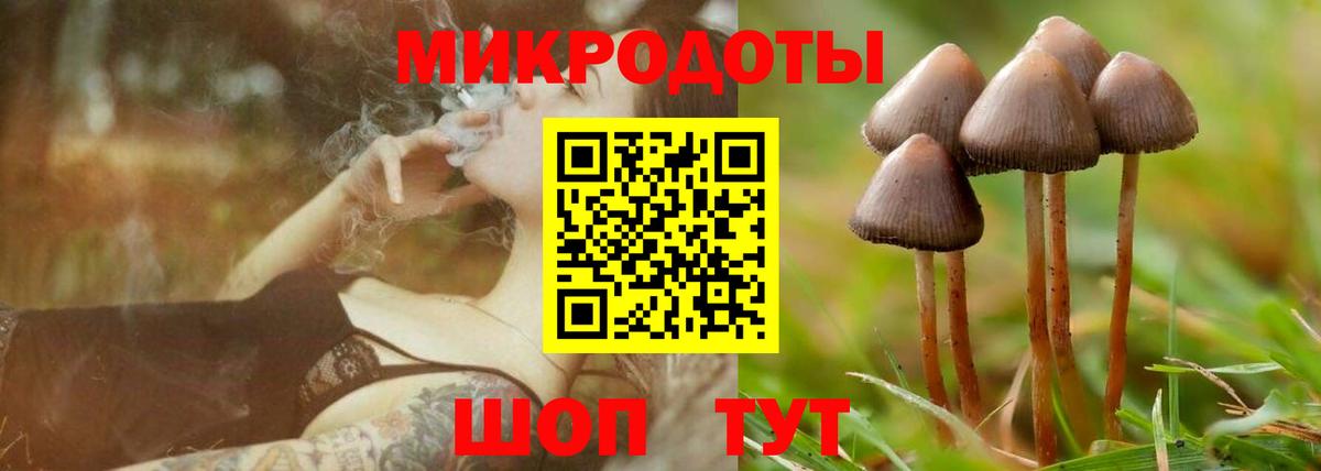 Галлюциногенные грибы прущие грибы  закладка  Аксай  Вход с VPN 